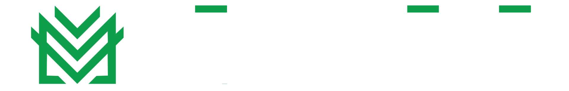 Metalleve Wall Systems